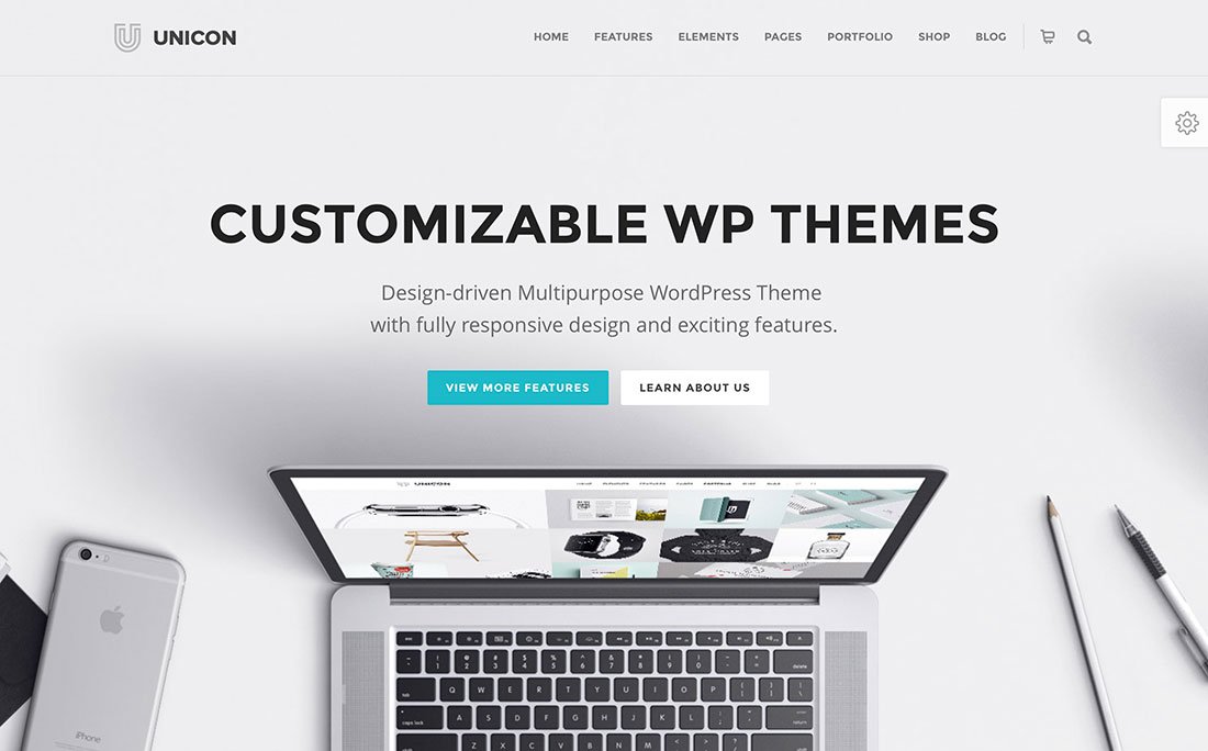 theme customize